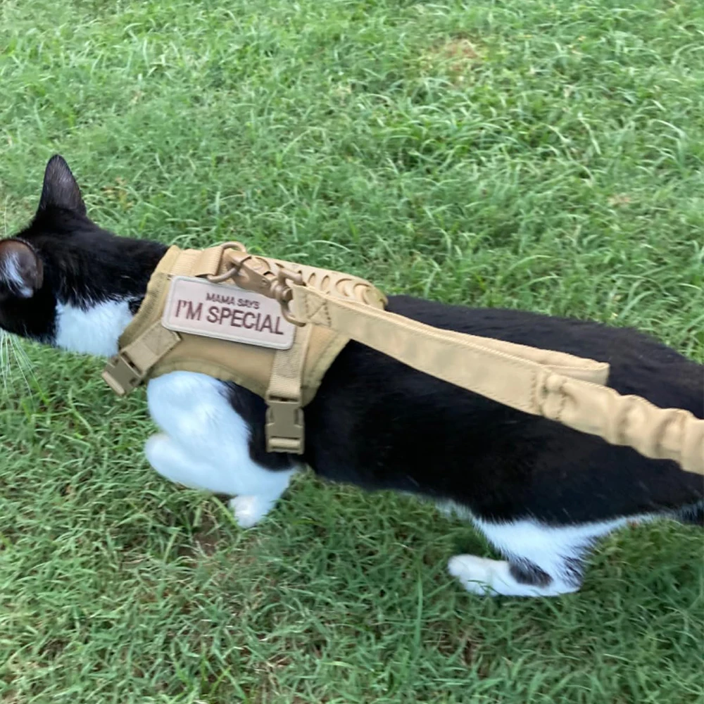 Arnés táctico para perros y gatos pequeños con 2 parches, chaleco de estilo militar para servicio de entrenamiento, trabajo, accesorios tácticos ajustables