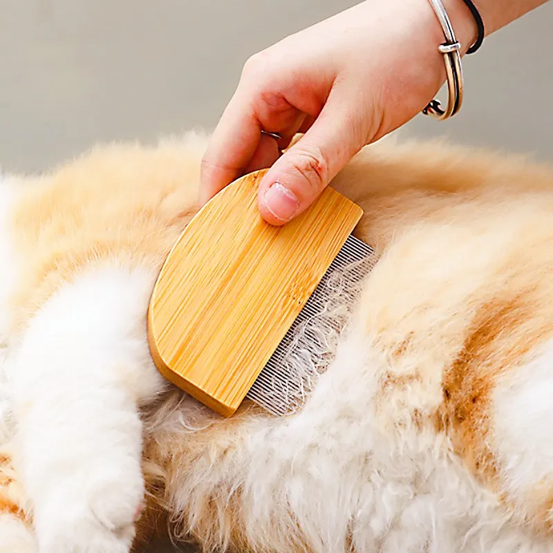 Peine para perros, cepillo de madera para perros, removedor de pelo para mascotas, cuidado de perros, peine denso de bambú para gatos, Limpieza del cabello, masaje, cepillo para gatos, productos para mascotas - imagen 4