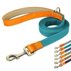 Correa nailon para perros con mango suave – Resistente para aire libre y adiestramiento
