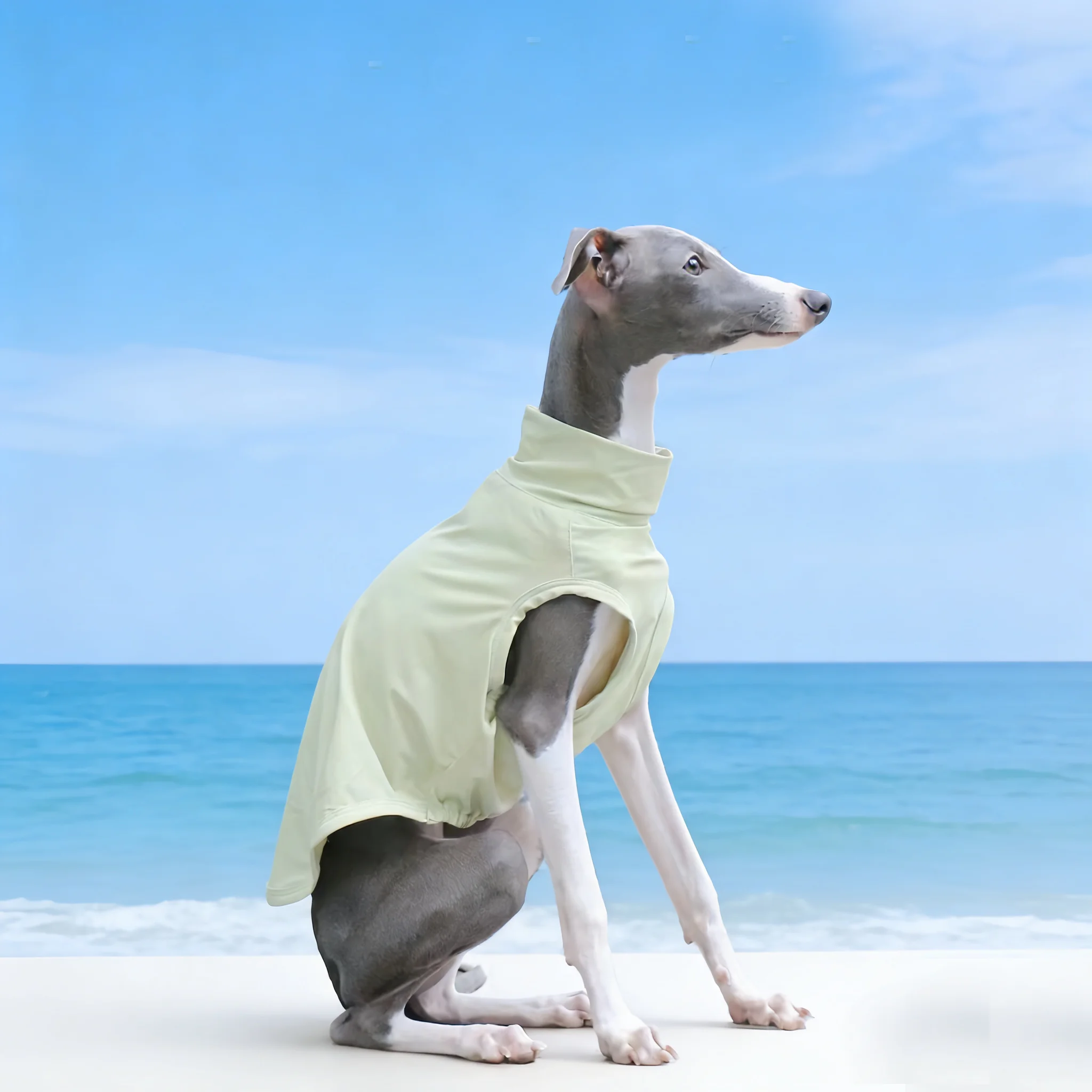 Chaleco verano para Galgo Italiano y Whippet – Fresco y transpirable - imagen 5