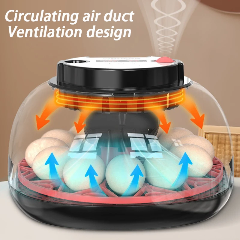 Incubadora automática para 12 huevos con LED y tapa transparente - imagen 5