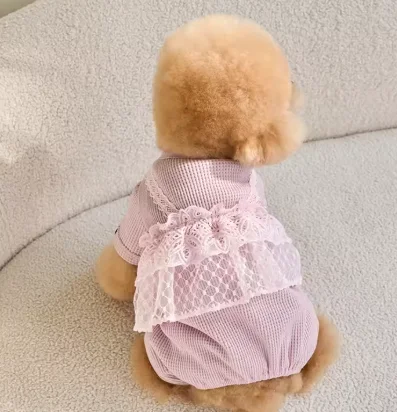 Mono de primavera para gatos y perros con encaje suave y cómodo - imagen 5