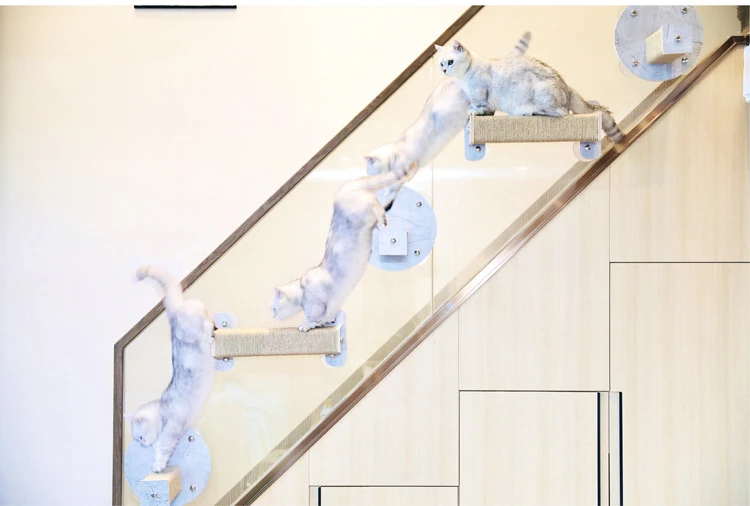 Un grupo de gatos que juegan en una escalera