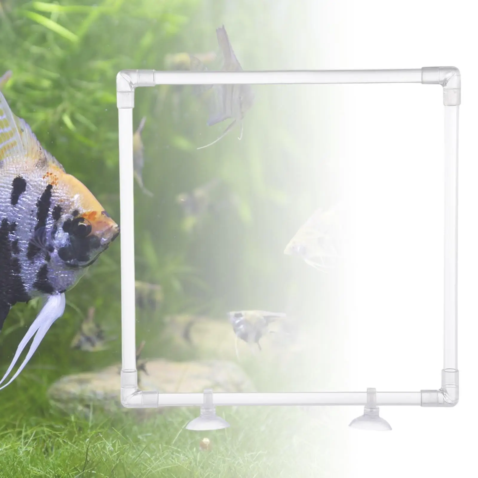 Aquarium Floating Plant Barrier Corral Fish Tank Clear Acrylic Patio Floating Plant Fence Pond Accessories Yard Easy to Install