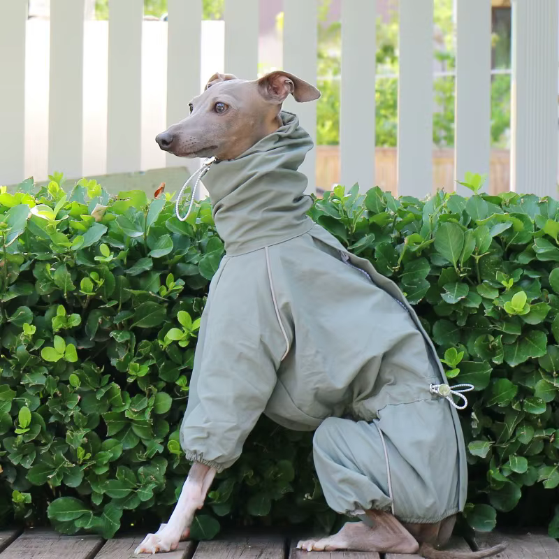 Chubasquero impermeable ajustable para Galgos y Whippets - imagen 5