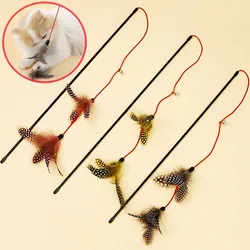 Palo de plumas interactivo para gatos – Doble pluma con campana