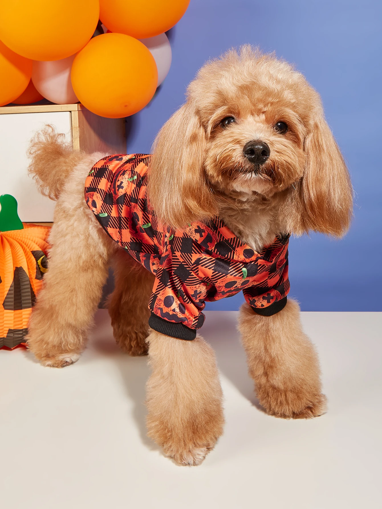 Disfraz Halloween con sudadera y capucha para gatos y perros - imagen 2