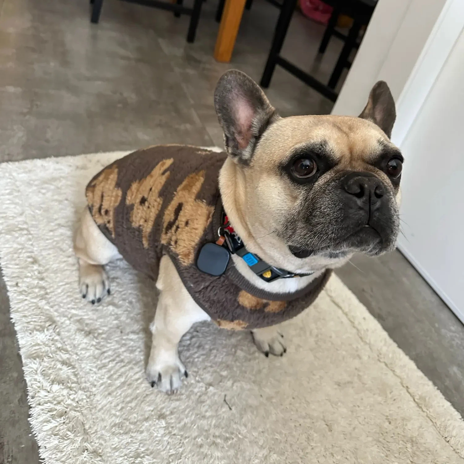 Abrigo térmico de lana para perros, ropa para perros con estampado de oso de peluche de invierno para perros medianos y grandes, suéter suave para perros grandes, chaleco, ropa para mascotas - imagen 5