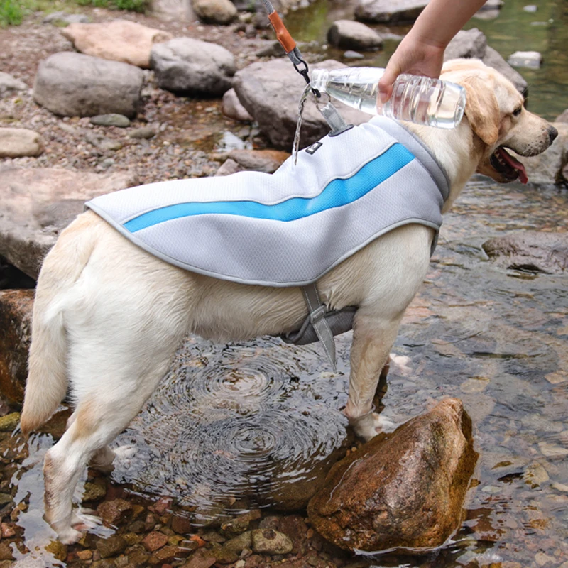 Chaleco refrescante para perros, ropa transpirable de verano para mascotas para perros medianos y grandes, ropa refrescante para Bulldog Francés, chaqueta fresca de Labrador - imagen 5