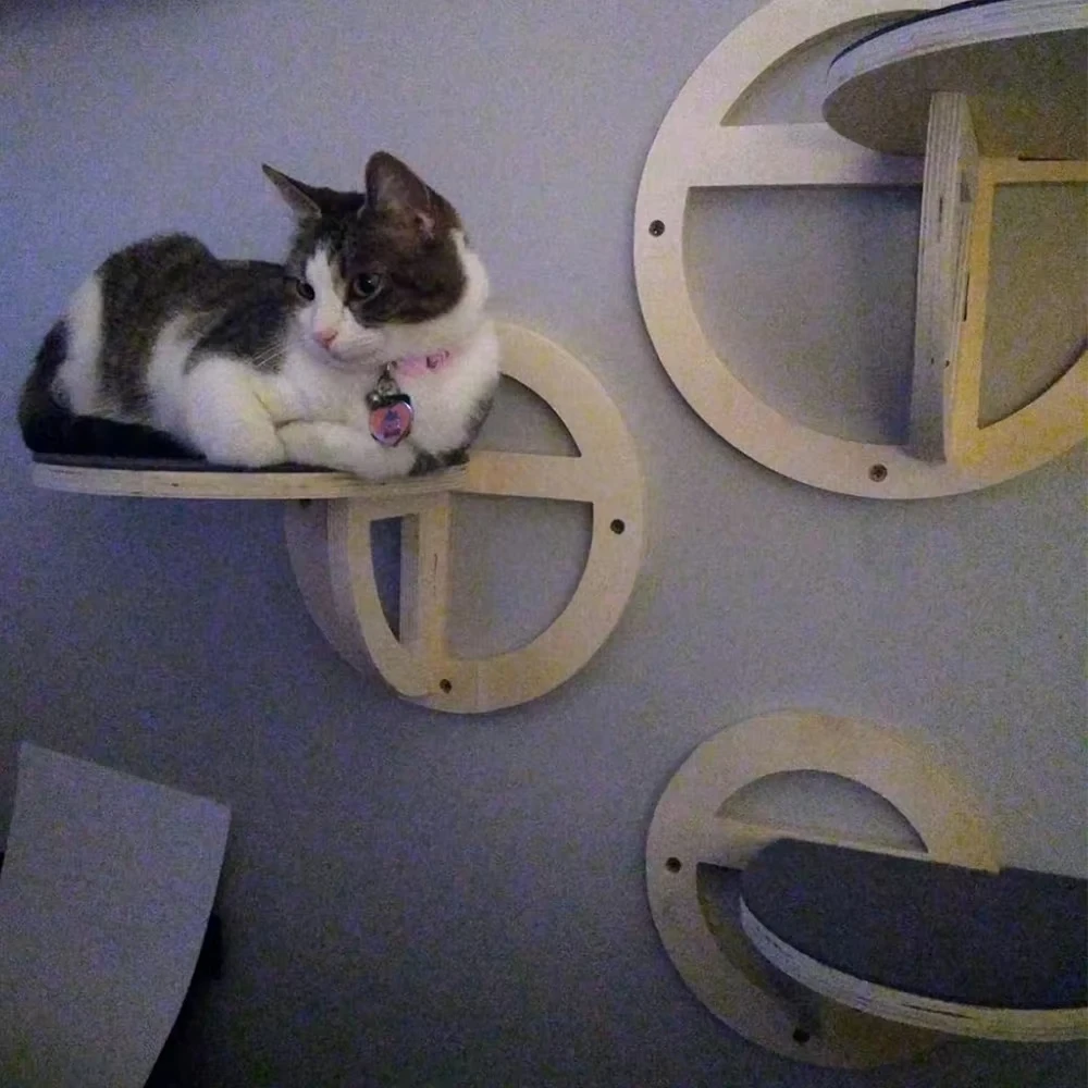 Estantes de pared circulares de madera resistentes para gatos, muebles de moda para gatos para descansar, explorar y jugar, punto montado en la pared para gatos de interior - imagen 3