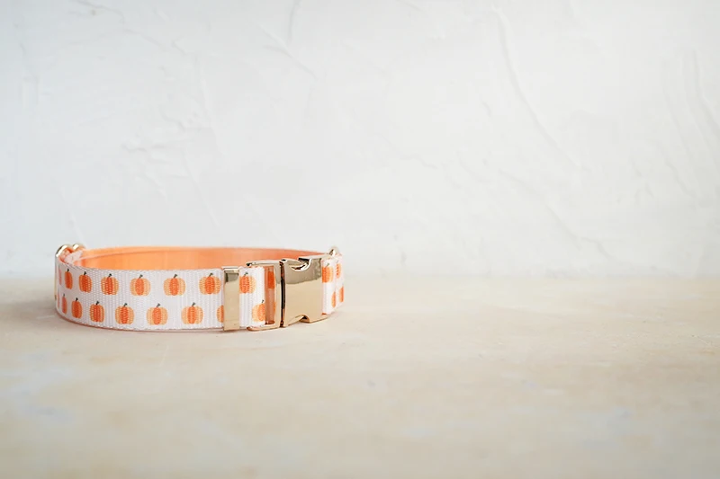 Collar para perro
