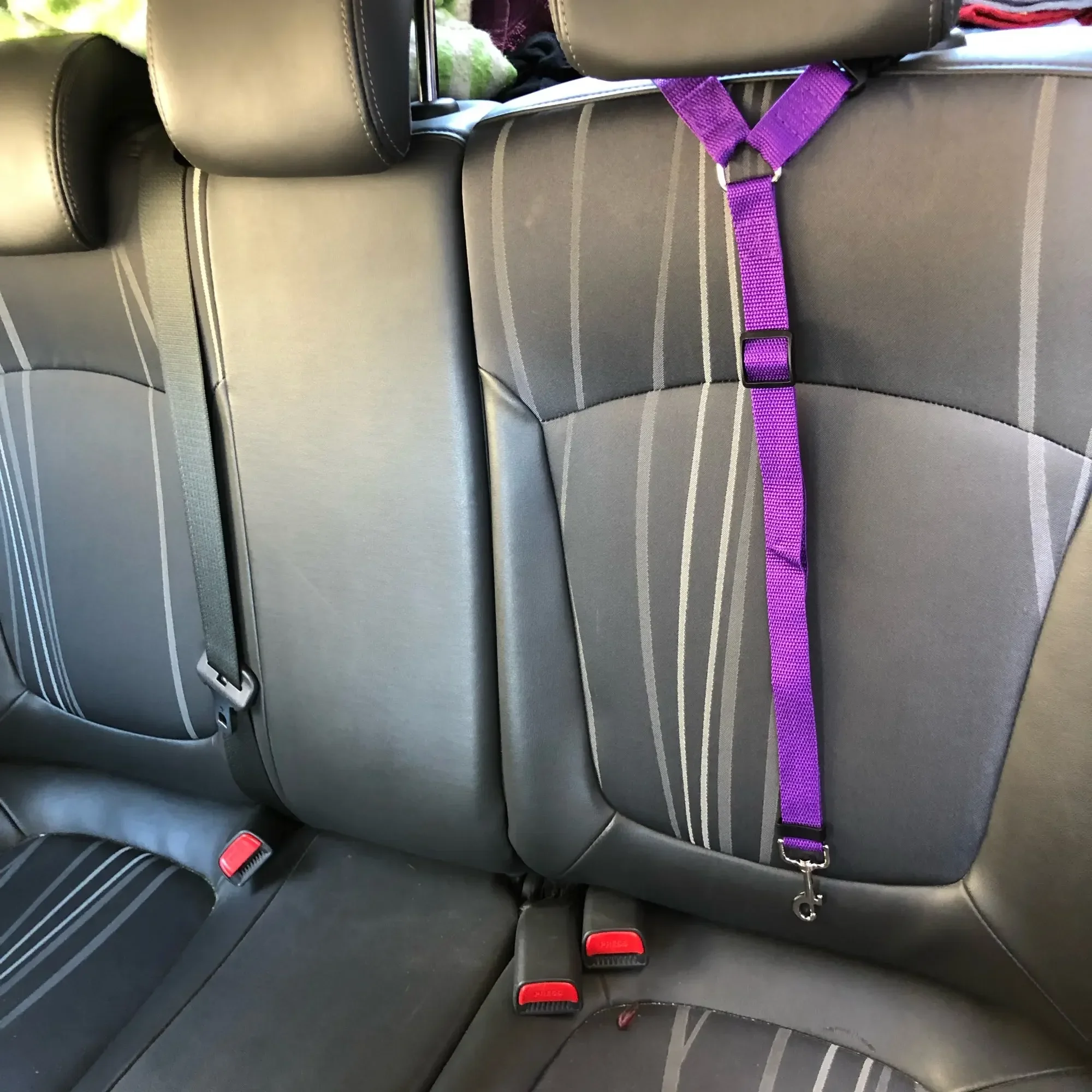 Cinturón de seguridad de coche para mascotas dos en uno de Color sólido, correa de nailon para asiento trasero, arnés ajustable para perros, Collar, accesorios para mascotas - imagen 2