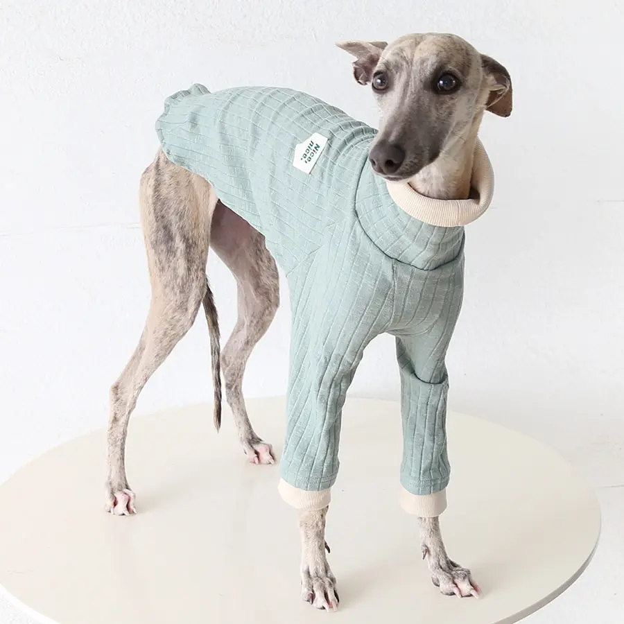 Ropa para perros verde: camiseta cuello alto primavera-verano - imagen 2