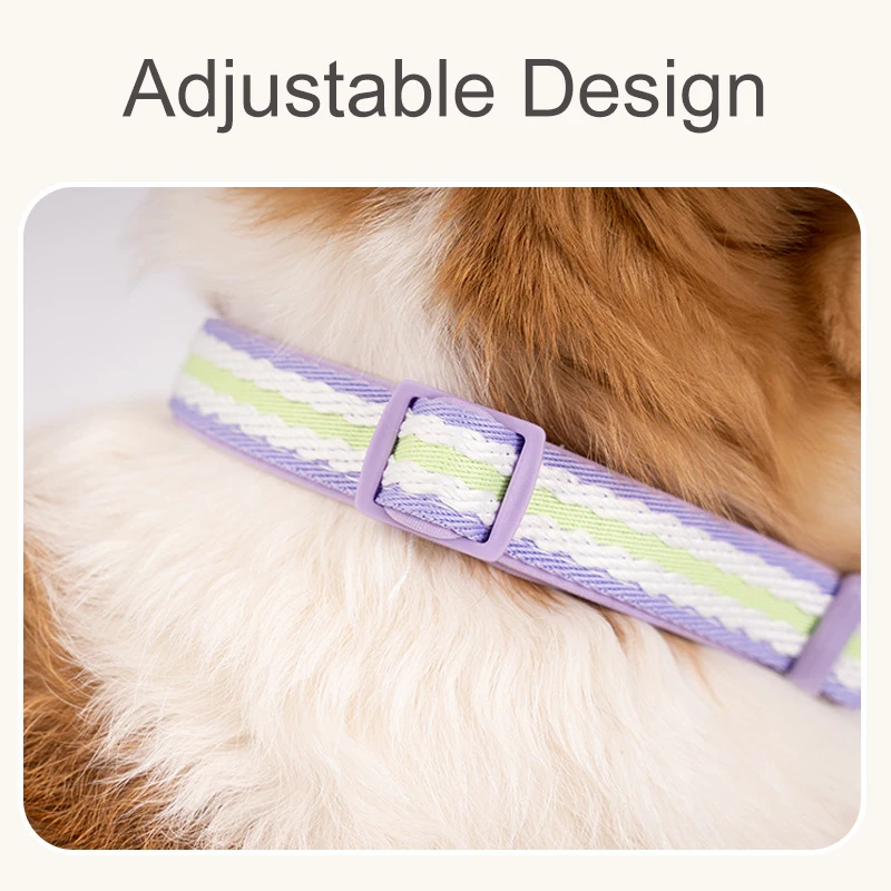 Collares ajustables para perros - duraderos para todas las tallas - imagen 4