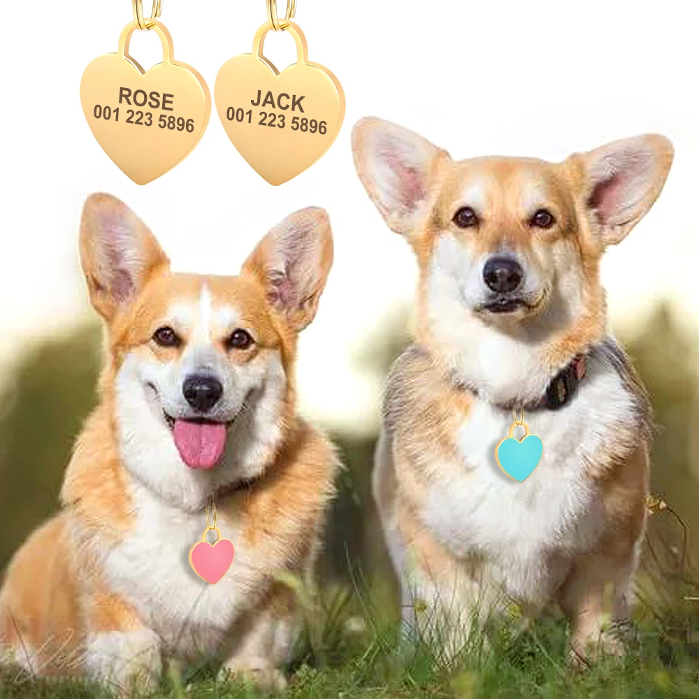 Etiqueta de identificación personalizada para perros y gatos, etiquetas de nombre con diamantes de imitación ostentosas para cachorros y gatitos, accesorios para Collar antipérdida para mascotas, productos para mascotas grabados gratis - imagen 5