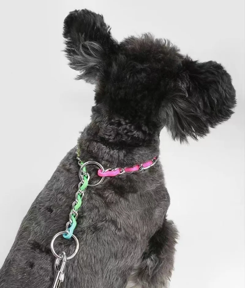 Collar de arcoíris para perro mascota con juego de correa, macramé P ajustable para mascota, correa trenzada para perro, cadena de acero, collares de estrangulación de entrenamiento - imagen 4