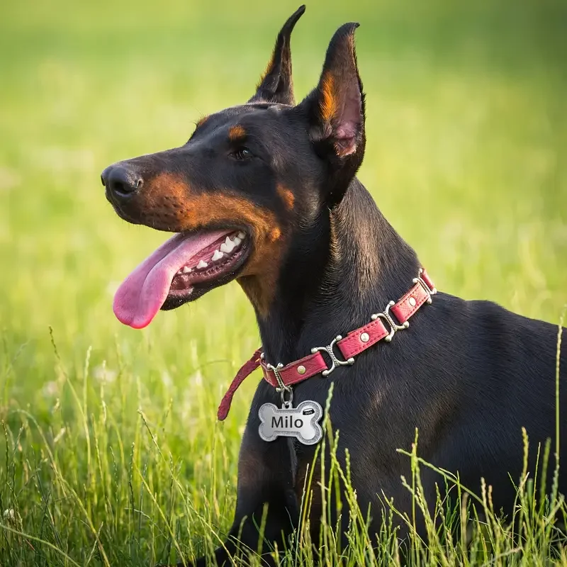 Etiqueta de identificación de perro, etiquetas de perro magníficas personalizadas para huella de pata de perro pequeño y mediano, placa de etiqueta de nombre de mascota personalizada, accesorios de Collar - imagen 5