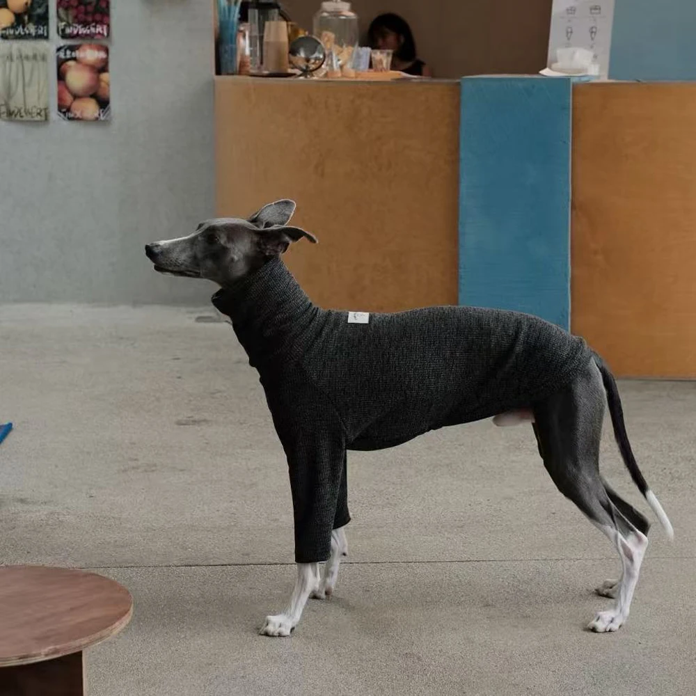 Camiseta de algodón de otoño para galgo italiano, abrigo suave de manga larga para ropa de perro Whipbit, ropa de descanso Terrier de cuello alto