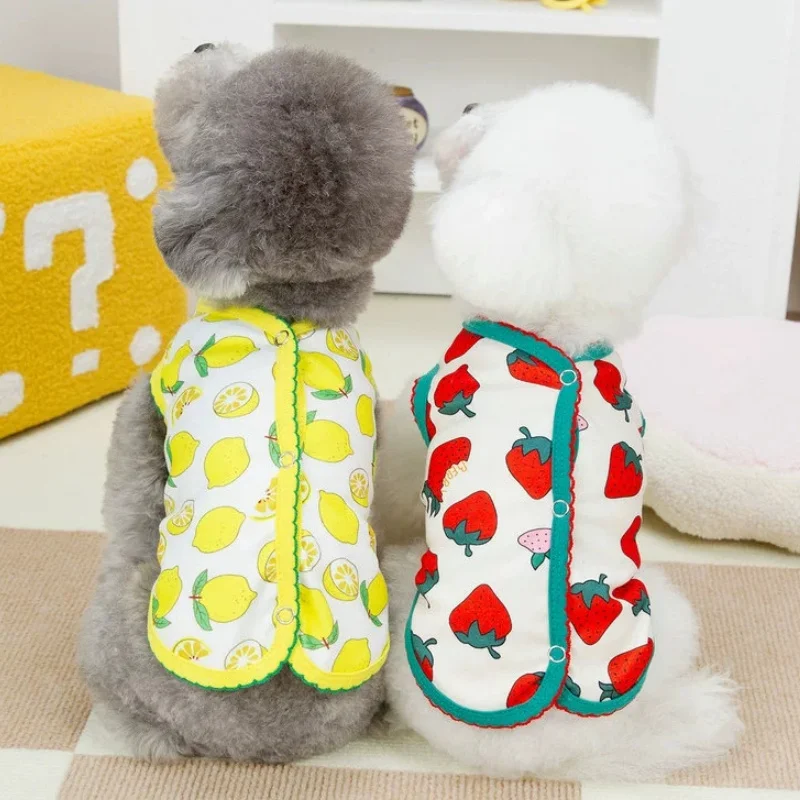 Chaqueta cálida de invierno para perros, abrigo, ropa suave y bonita para perros, chaleco con estampado de frutas para cachorros, chaqueta cárdigan a la moda para gatos, abrigo con capucha para mascotas, disfraz para perros - imagen 2