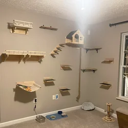Escaleras pared para gatos – Baldas madera natural para trepar y jugar
