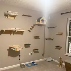 Escaleras pared para gatos – Baldas madera natural para trepar y jugar
