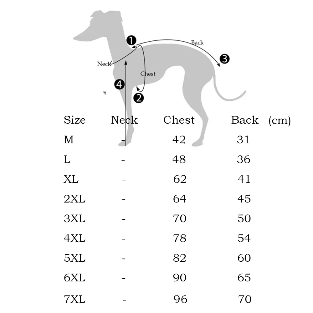 Chaqueta ABQP para galgo italiano - vista frontal