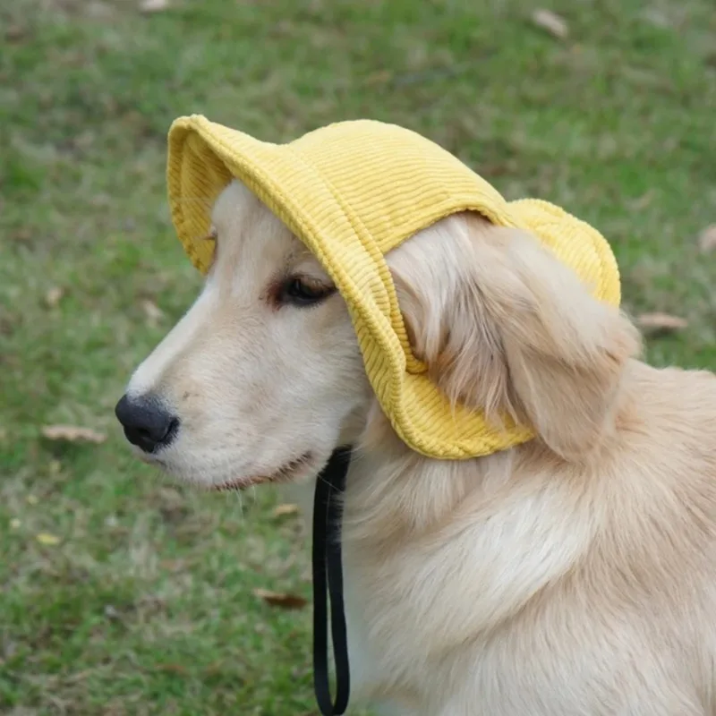 Sombrero para el sol para mascotas con orificios para las orejas, gorra ajustable para perros y gatos, sombrero deportivo de verano, sombrero para el sol transpirable para perros al aire libre, accesorios para mascotas