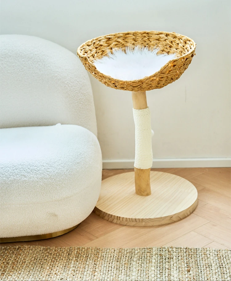 hmqViviiyNSAyin8WueUtyAJu6qXZoGzFtLD