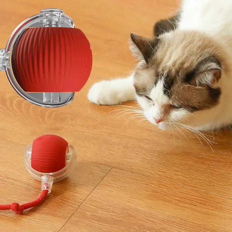 Pelota de juguete para gatos, pelota que guapa, Bola rodante para gatos, pelo para mascotas, alivia el aburrimiento, pelota de peluche para gatos, juguetes para gatos - imagen 4