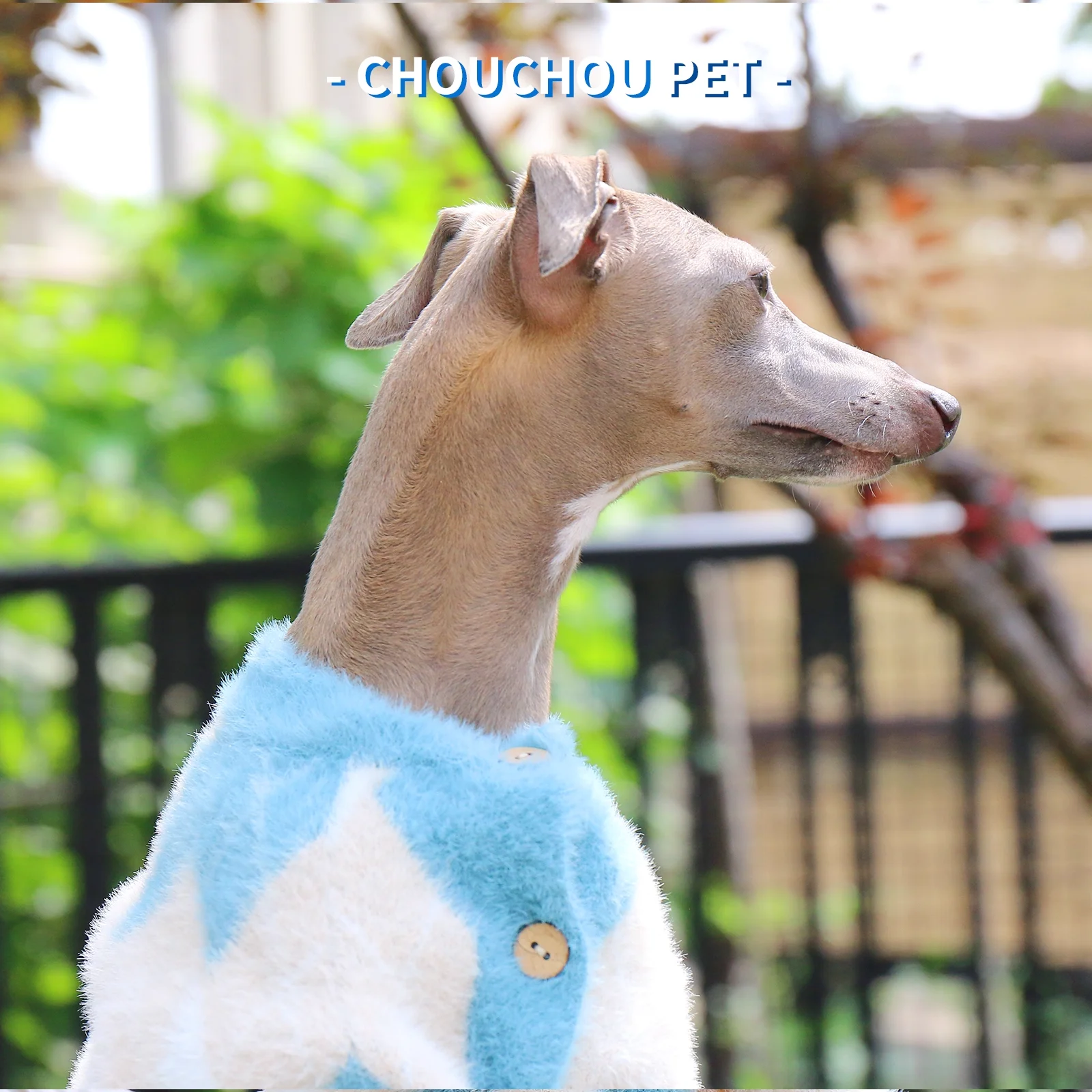 Nuevo suéter para mascotas de otoño/invierno, patrón clásico de diamantes, elegante perro iggy de galgo italiano ​ ​ suéter. - imagen 3