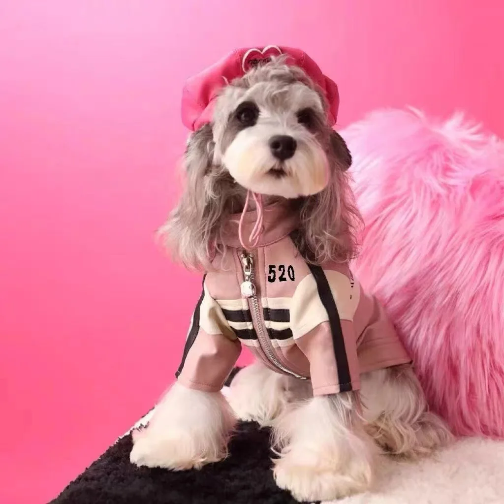 Ropa de otoño e invierno para perros, chaqueta Yorkshire Schnauzer, oso de peluche, abrigo para perros, ropa para cachorros, ropa de diseñador para perros, abrigo de invierno - imagen 2