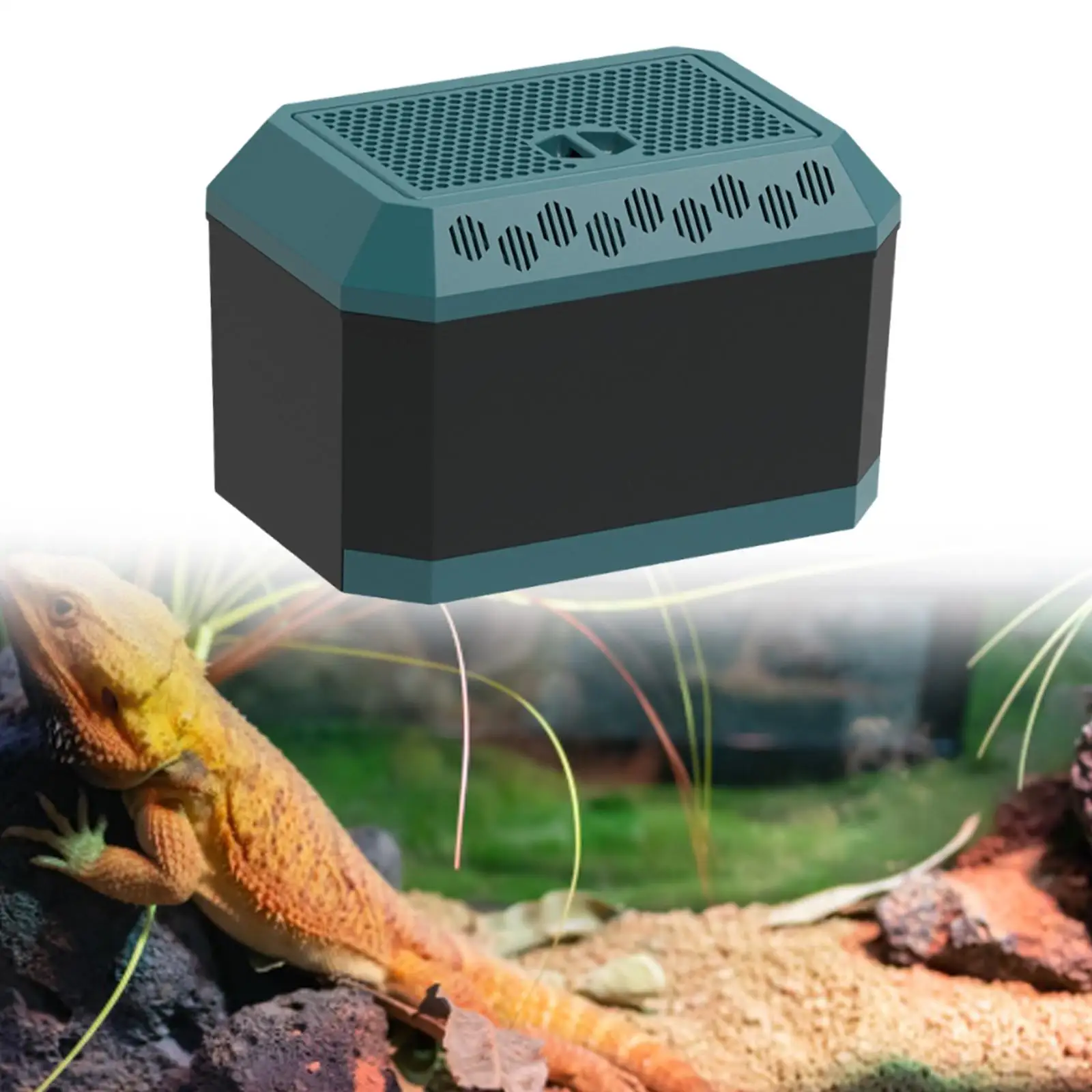 Caja de alimentación para reptiles, contenedor de transporte de tortugas, estuche para incubar hábitat, jaula transpirable para terrario de reptiles para Geckos