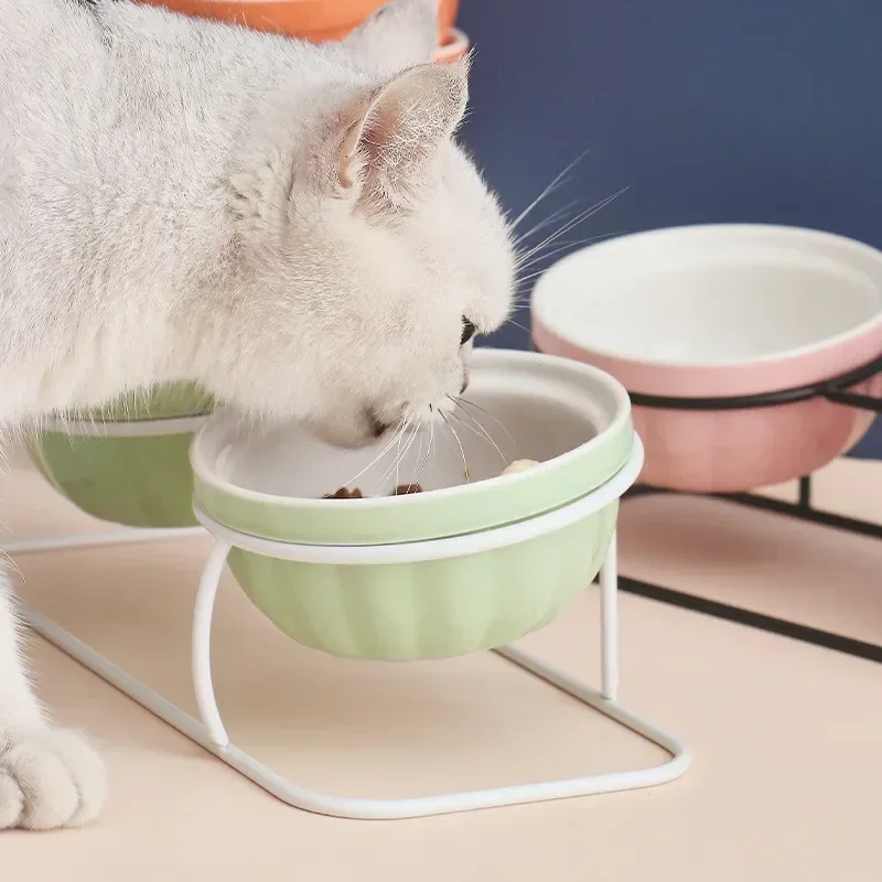 Cuenco doble a la moda, bonito alimentador de cerámica para mascotas, pie alto, diseño oblicuo, hueso de pescado, estampado, protege la columna vertebral, accesorios para comedero para perros - imagen 4