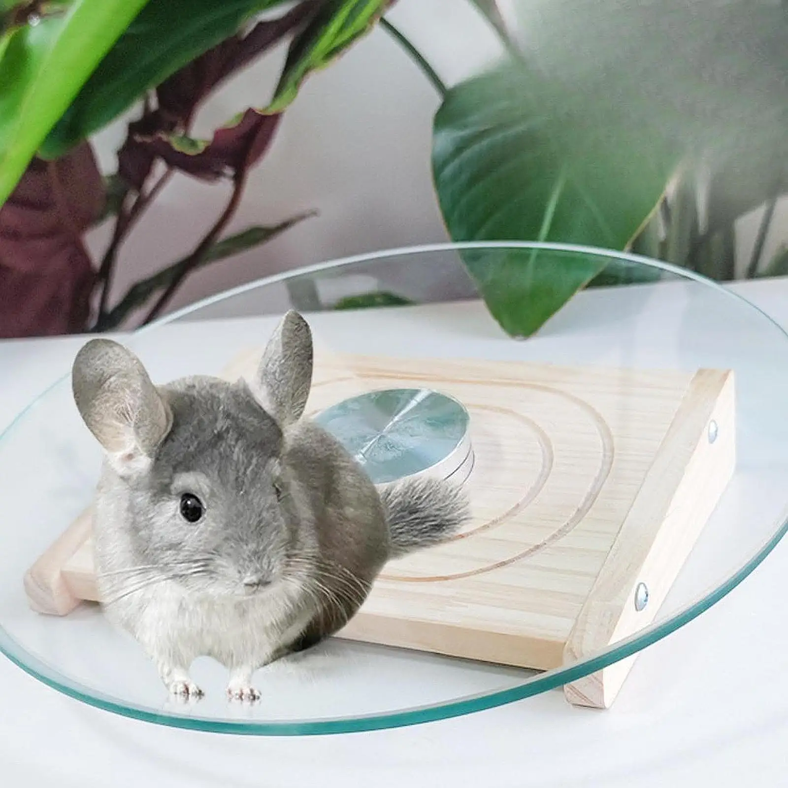 Hamster Wheel Platform Hamster Toy Smoothly Enrichment Toys Running Wheel Running Turntable Toy for Gerbils Hamsters Training