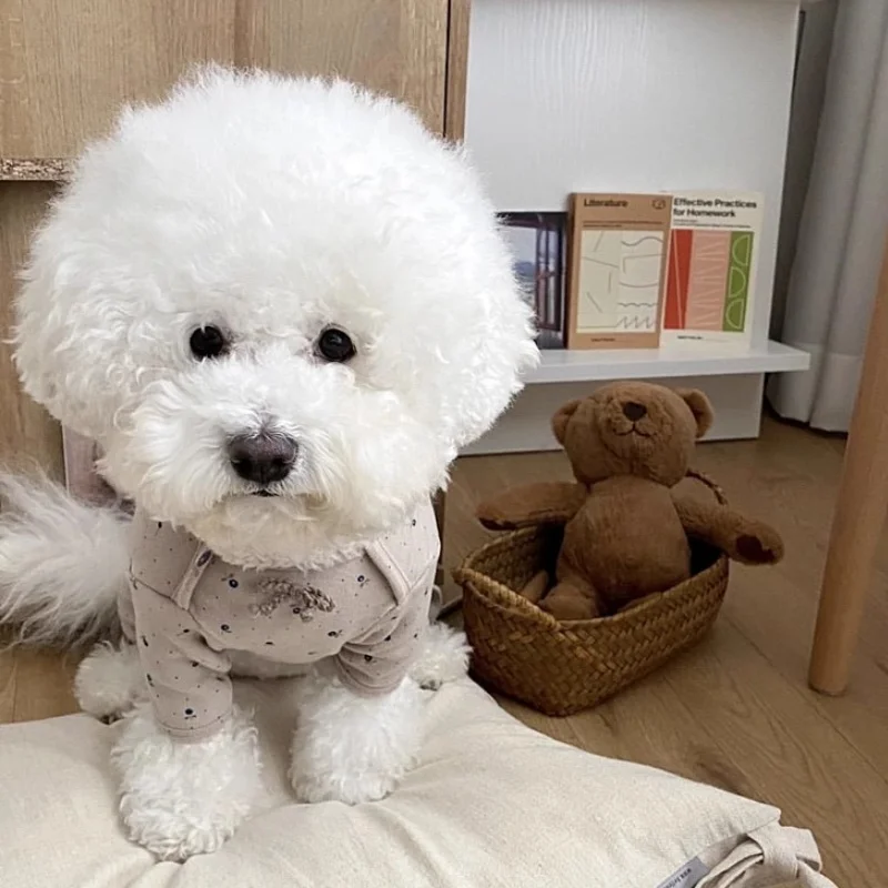 Monos con estampado Floral para perros, ropa fina de primavera para perros, peleles a la moda para cachorros, pijamas suaves y bonitos para gatos, monos para mascotas, disfraces para Chihuahua - imagen 4