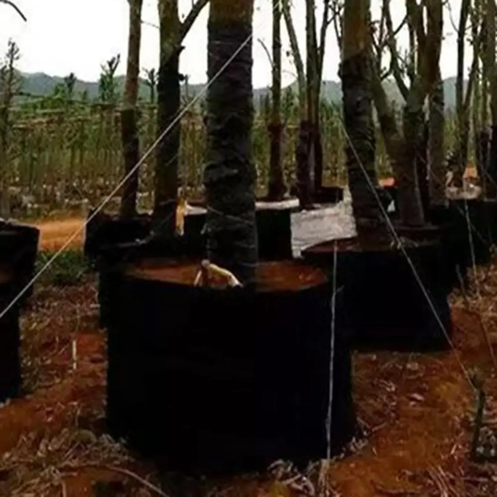 Bolsas de cultivo de flores de 6 piezas, bolsas de plantación de fieltro ecológico, costuras reforzadas, bolsas de cultivo de plantas vegetales - imagen 5