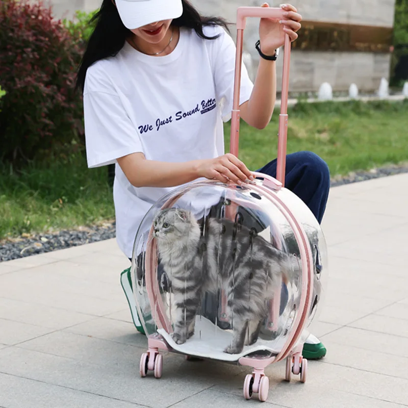 Transportín para gato transparente con ruedas, cómodo y ventilado - imagen 4