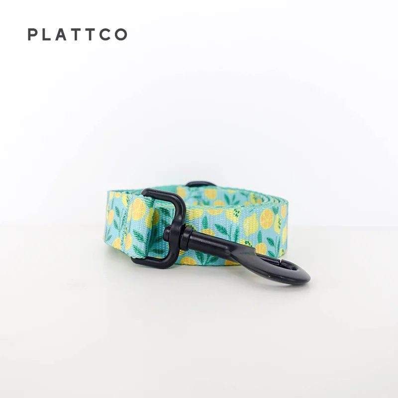 PLATTCO personalizado LEMON TEASE ajustable suave nylon collar de perro juego de correa duradero personalizado para pequeño mediano grande PDC329 - imagen 3