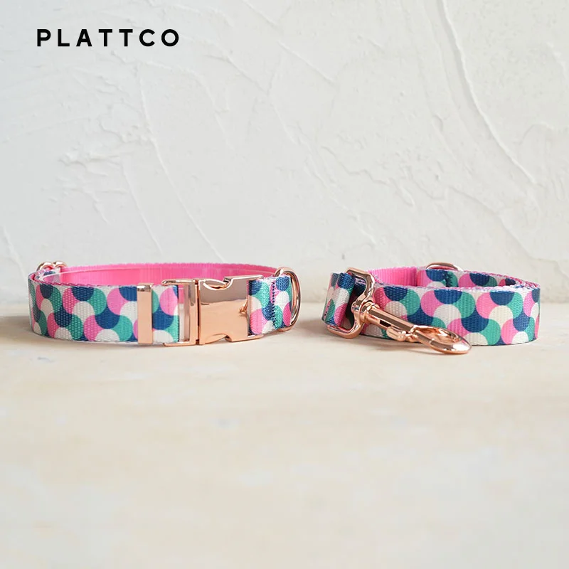 Dog Collar Leash Set