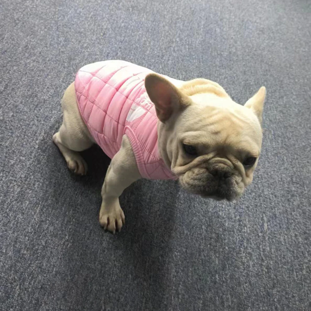 Abrigo impermeable cortavientos para gatos pequeños y perros medianos - imagen 3