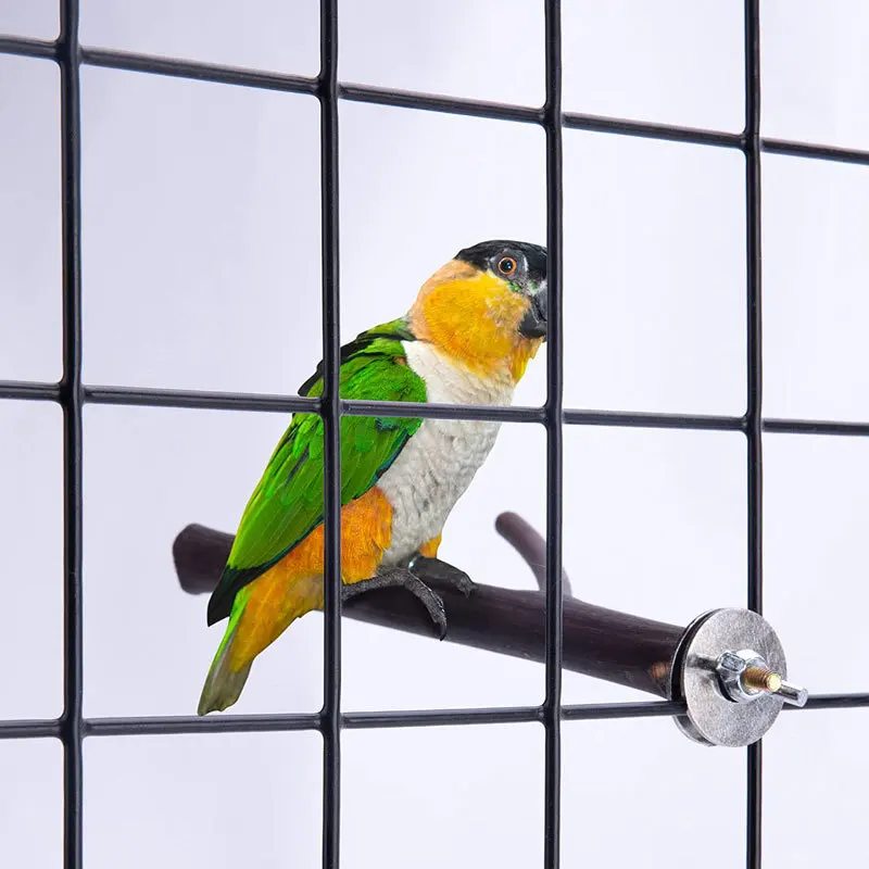 Tenedor de madera Natural para loros y mascotas, tenedor de madera cruda, soporte para ramas de árbol, ardilla, pájaro, hámster, perchas, juguetes para morder, palo, 2 uds.