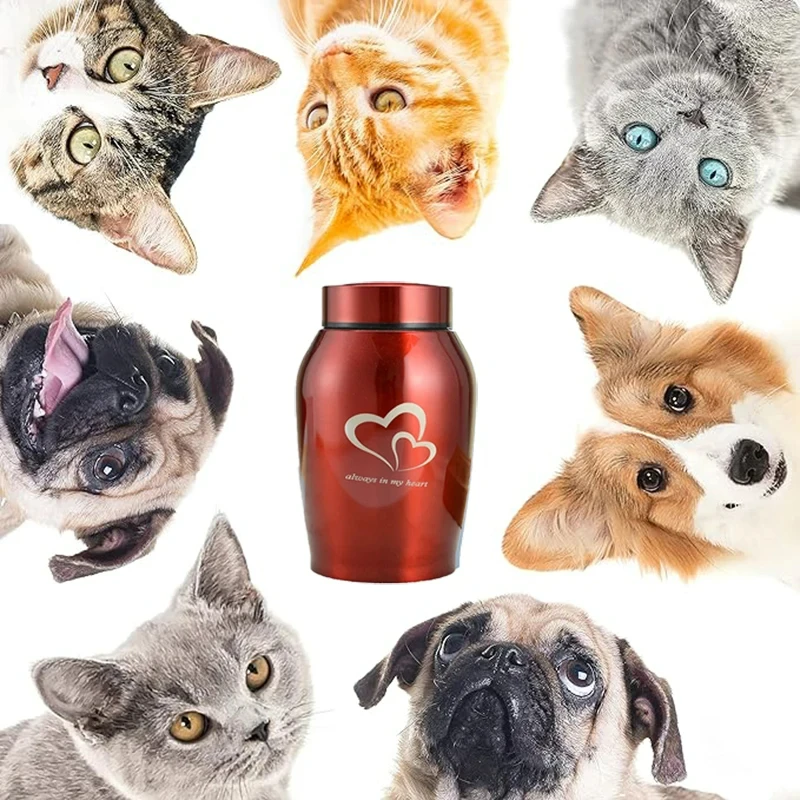 Urnas multicolores de acero inoxidable para mascotas, urnas para perros, gatos, pájaros, ratones, cenizas de cremación, suministros funerarios sellados para perros, tarro de recuerdo para mascotas - imagen 3
