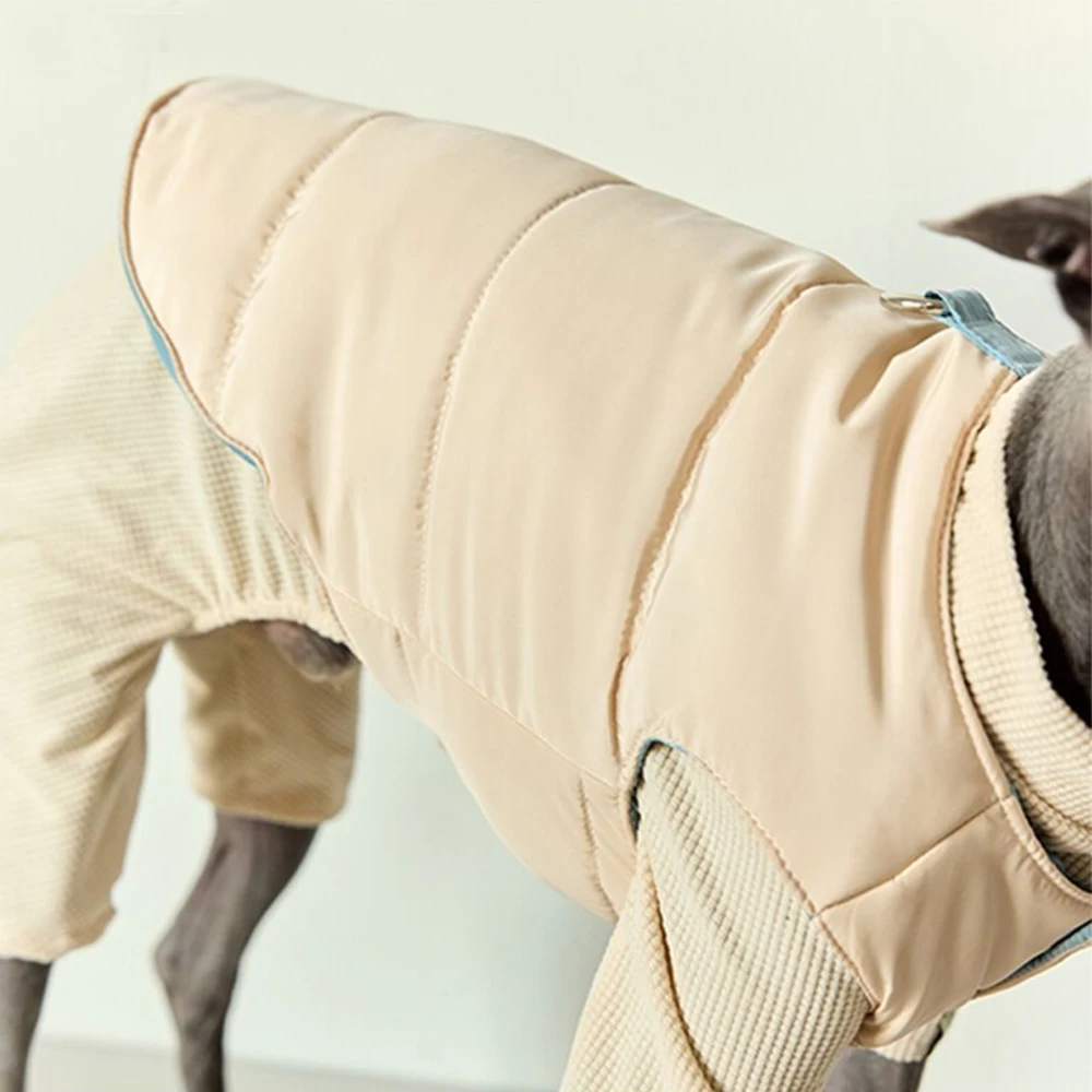 Chaqueta de invierno de galgo pequeño italiano, chaleco grueso cálido con botones en blanco y azul, ropa de Whippet a la moda, abrigo a prueba de viento para perros - imagen 5