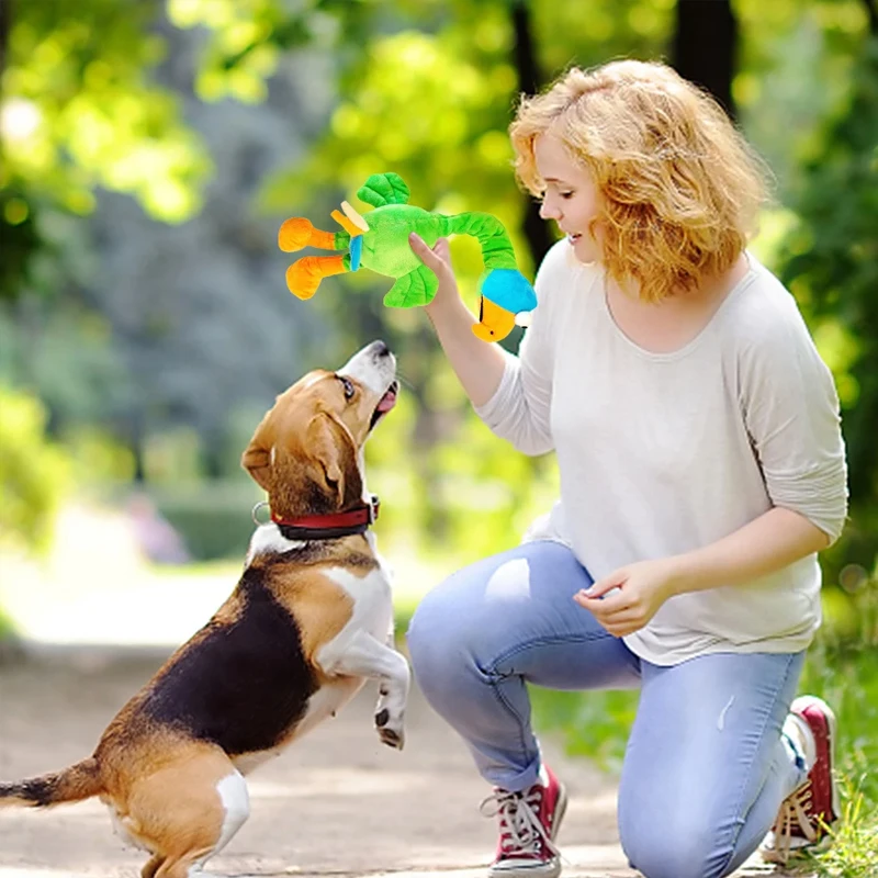 Juguete divertido para mascotas con forma de pollo, mordedor de lana para perros, cachorro, chirriante, hueso de felpa, Molar, accesorios de entrenamiento para perros - imagen 3