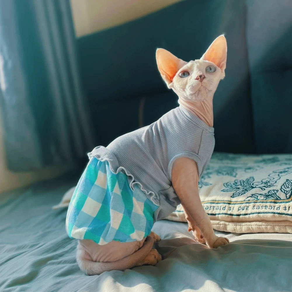 Vestido de algodón para un gato Falda de burbujas de encaje de verano para Sphynx Chaleco sin mangas suave de gato para gatitos Abrigo de cuadros dulces para Devon Rex