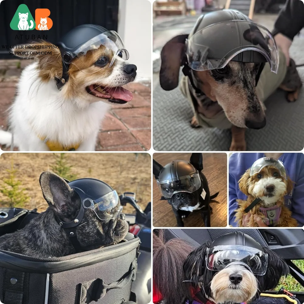 Casco para perro ATUBAN con gafas transparentes anti-UV, casco de motocicleta para perros pequeños con orificios para las orejas, casco de ciclismo desplegable, sombrero ajustable - imagen 5