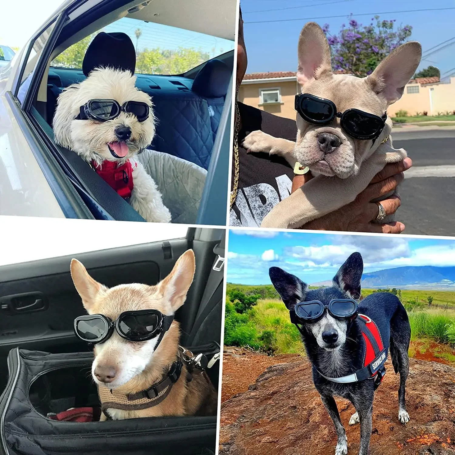 ATUBAN Casco para Perros Gafas de Sol para Perros Pequeños, Gafas con protección UV para Perros Sombrero Deportivo para Perros medianos, para Perros Conducción al Aire Libre para Caminar - imagen 5