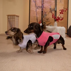 Traje ligero verano perro Dachshund transpirable fresco secado rápido