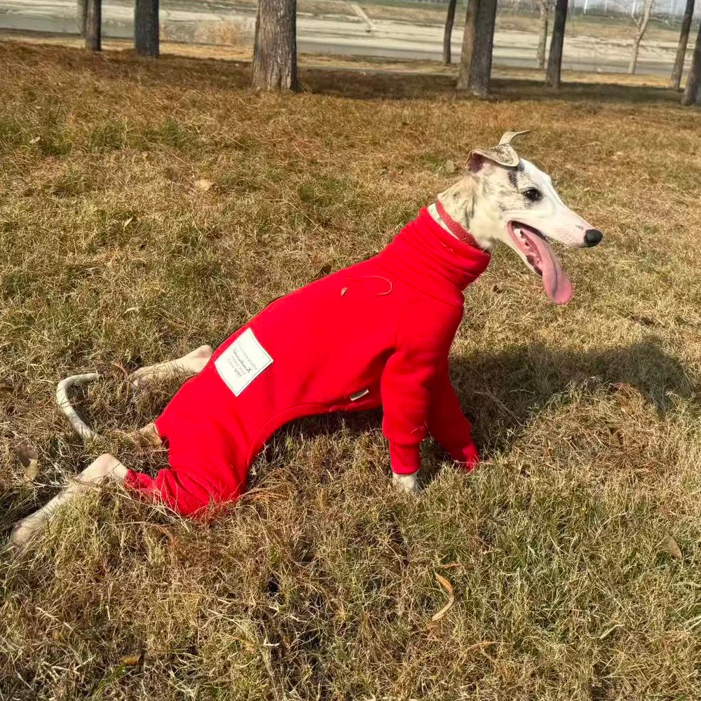 Mono de lana para Galgo Italiano y Whippet – Ropa de Invierno - imagen 2