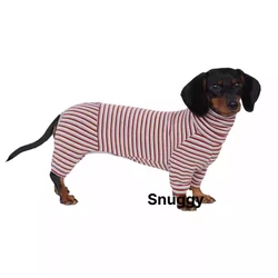 Camiseta cachemira rayada para perros salchicha – Cálida de cuello alto